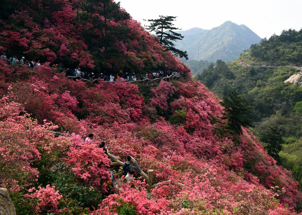 DSC_1246_看圖王.jpg