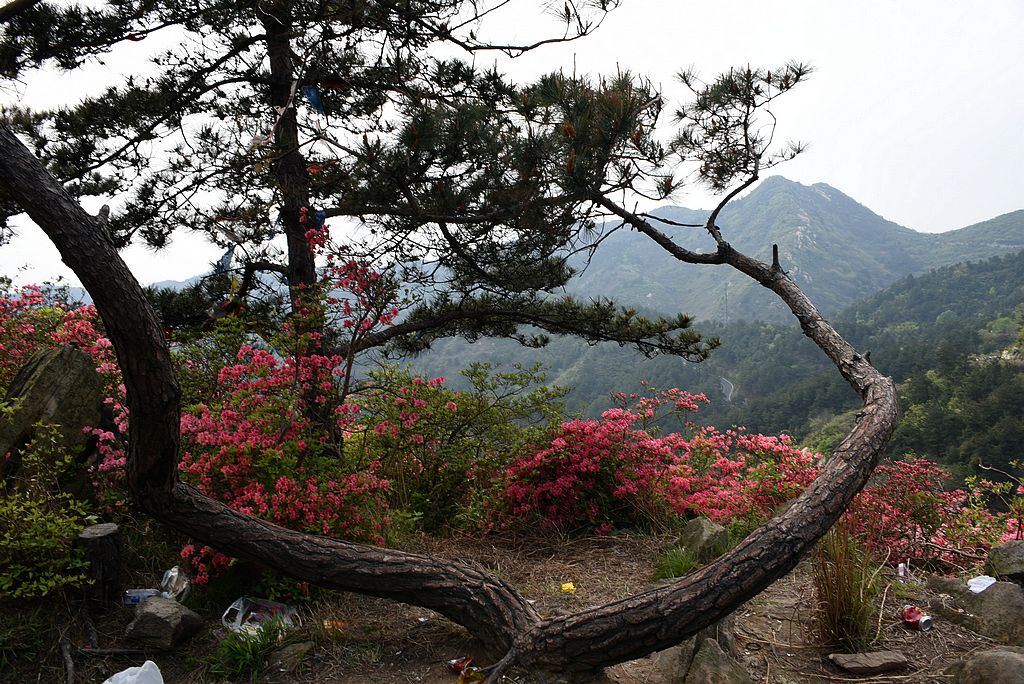 DSC_1280_看圖王.jpg