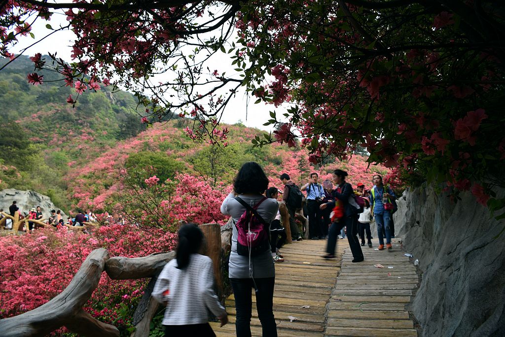 DSC_1293_看圖王_看圖王.jpg