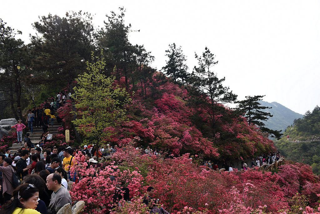 DSC_1295_看圖王_看圖王.jpg
