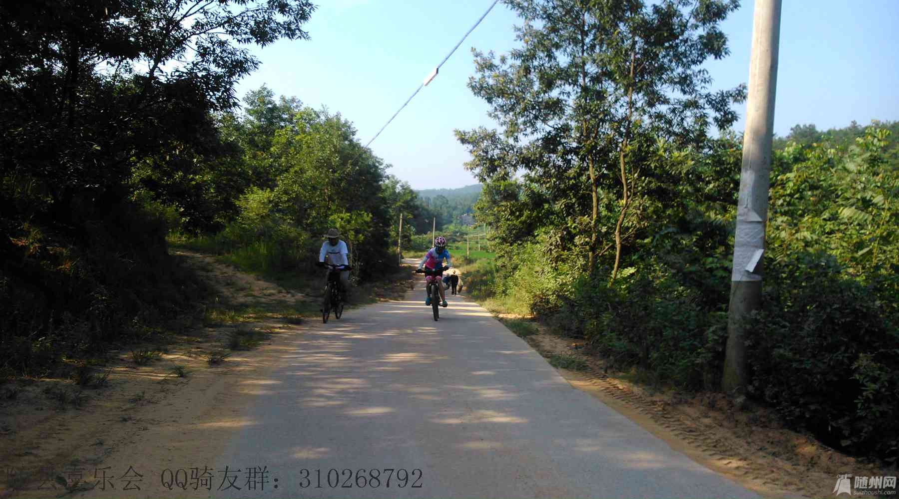 DSC_1365.jpg